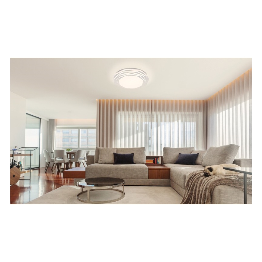 Globo - LED stropné stmievateľné svietidlo LED/36W/230V 3000/4000/6000K pr. 48 cm