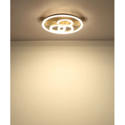 Globo - LED stmievateľné stropné svietidlo LED/40W/230V 2700-6500K priemer 35x33 cm béžová + diaľkové ovládanie
