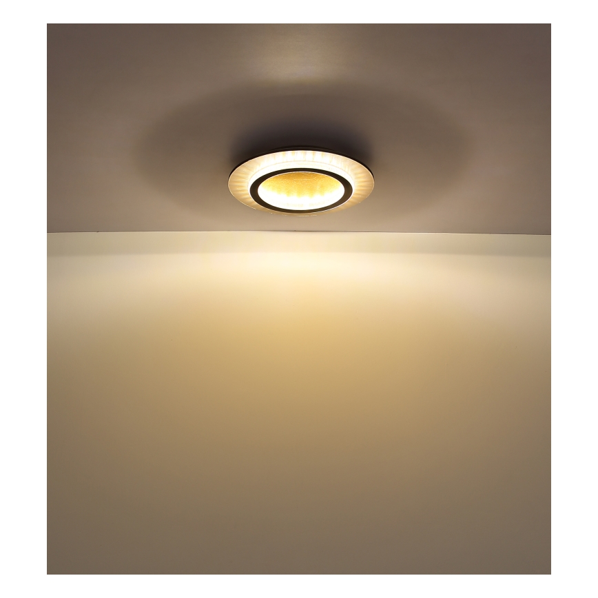 Globo - LED stropné svietidlo LED/24W/230V 3000/4000/6500K pr. 35 cm čierne