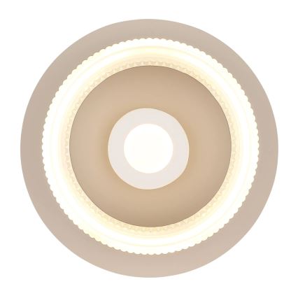 Globo - LED stropné svietidlo LED/8W/230V 3000K priemer 16 cm