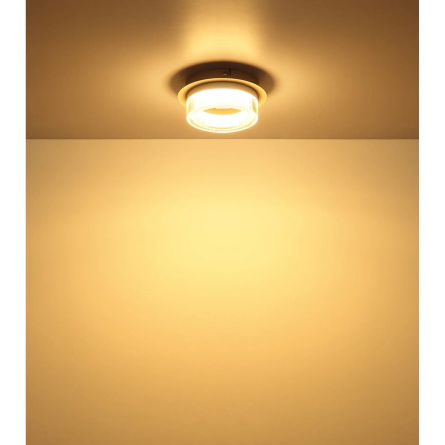 Globo - LED stropné svietidlo LED/8W/230V 3000K priemer 16 cm
