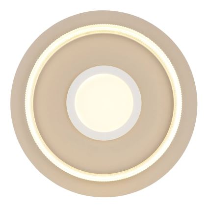 Globo - LED stropné svietidlo 24W/230V 3000K, priemer 40 cm