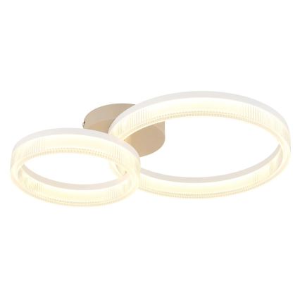 Globo - LED stropné svietidlo LED/24W/230V 3000K 33x50 cm