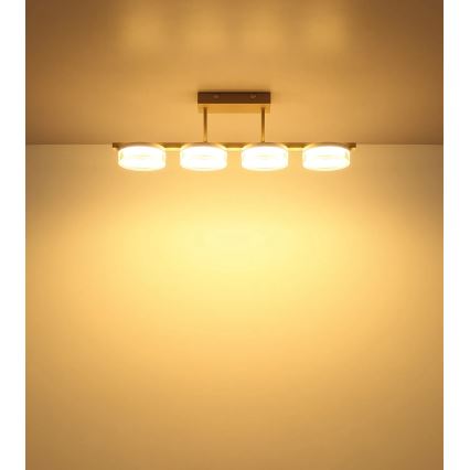 Globo - LED prisadený luster, 24 W, 230 V, 3000 K