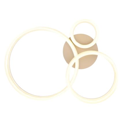 Globo - LED stropné svietidlo LED/24W/230V 3000K 40,5x51 cm