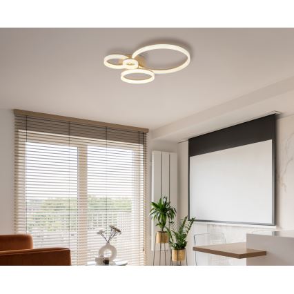Globo - LED Stropné svietidlo LED/40W/230V 3000K 64,5x75 cm