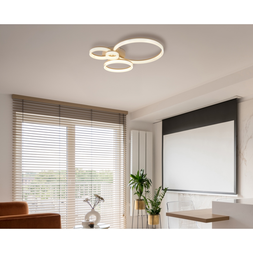 Globo - LED Stropné svietidlo LED/40W/230V 3000K 64,5x75 cm