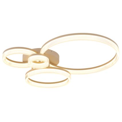 Globo - LED Stropné svietidlo LED/40W/230V 3000K 64,5x75 cm