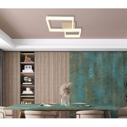 Globo - LED stropné svietidlo LED/24W/230V 3000K 46,5x62,5 cm