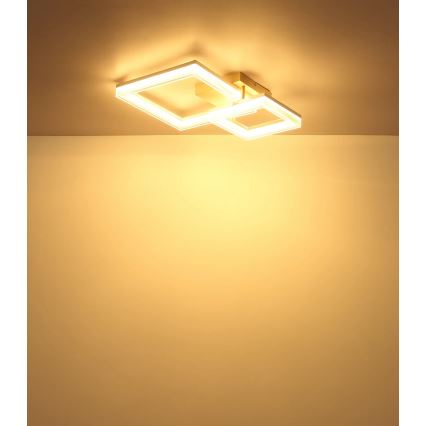 Globo - LED stropné svietidlo LED/24W/230V 3000K 46,5x62,5 cm