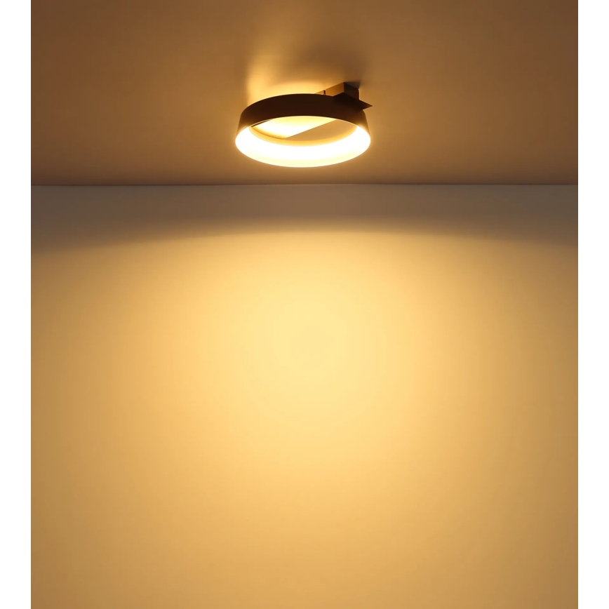 Globo - LED Stropné svietidlo LED/12W/230V 3000K 26x25 cm