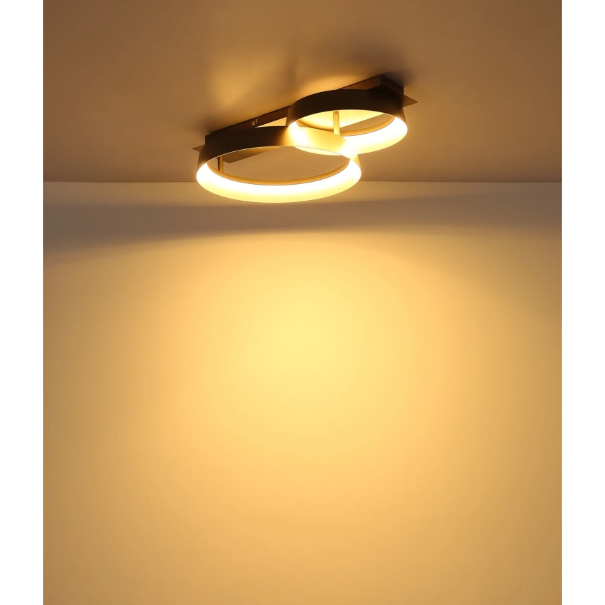 Globo - LED stropné svietidlo LED/24W/230V 3000K 50x35 cm