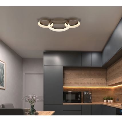 Globo - LED stropné svietidlo LED/40W/230V 3000K 70x35 cm