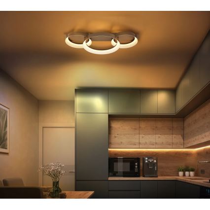 Globo - LED stropné svietidlo LED/40W/230V 3000K 70x35 cm