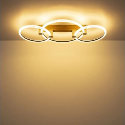 Globo - LED stropné svietidlo LED/40W/230V 3000K 76,1x38 cm hnedá