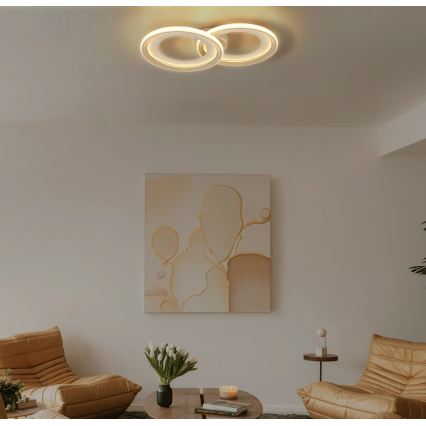 Globo - LED Stropné svietidlo LED/30W/230V 3000K 31,5x52,5 cm