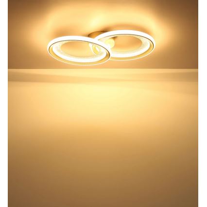 Globo - LED Stropné svietidlo LED/30W/230V 3000K 31,5x52,5 cm