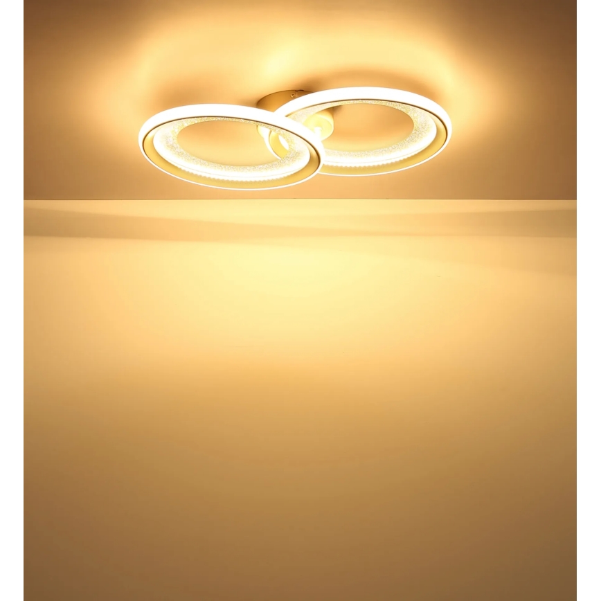 Globo - LED Stropné svietidlo LED/30W/230V 3000K 31,5x52,5 cm
