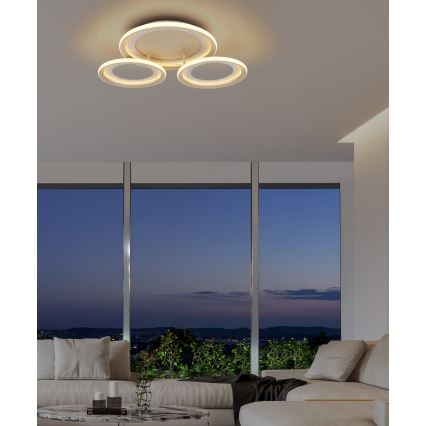 Globo - LED stropné svietidlo LED/40W/230V 3000K 60,5x62,5 cm