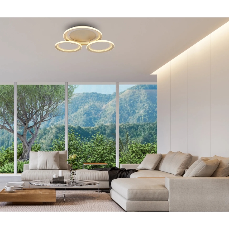 Globo - LED stropné svietidlo LED/40W/230V 3000K 60,5x62,5 cm