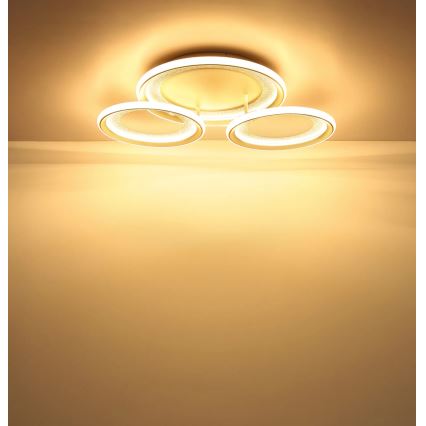 Globo - LED stropné svietidlo LED/40W/230V 3000K 60,5x62,5 cm