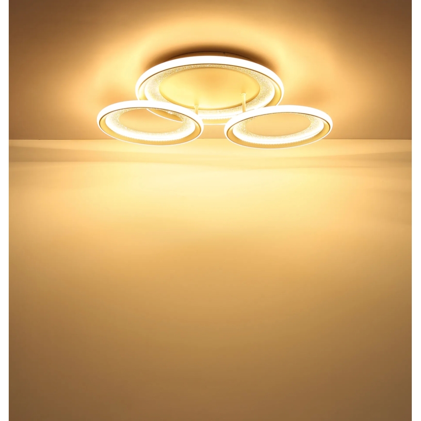 Globo - LED stropné svietidlo LED/40W/230V 3000K 60,5x62,5 cm