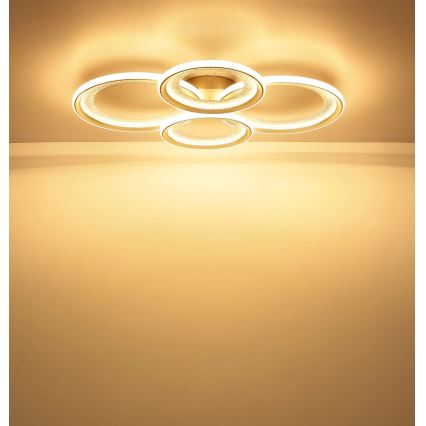 Globo - LED Stropné svietidlo LED/50W/230V 3000K 64,5x85,5 cm