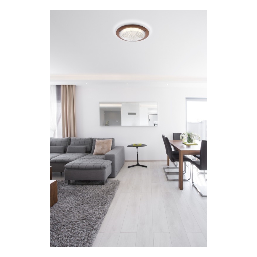 Globo - LED Stropné svietidlo TABASCO LED/12W/230V