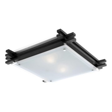 GLOBO 48324-2 - Stropné svietidlo EDISON 2xE27/60W/230V GLOBO 48324-2 - Stropné svietidlo EDISON 2xE27/60W/230V