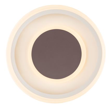 Globo 48398-24 - LED Stropné svietidlo GOFFI LED/30W/230V