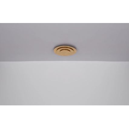 Globo - LED stropné svietidlo LED/40W/230V 3000K pr. 49 cm zlaté