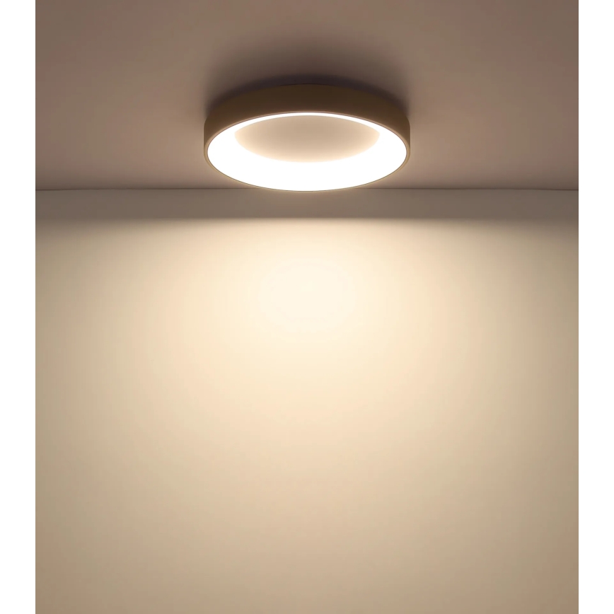 Globo - LED stmievateľné stropné svietidlo LED/48W/230V 2700-6000K pr. 50 cm + diaľkové ovládanie