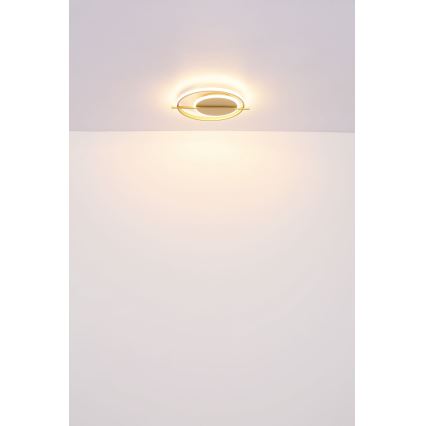 Globo - LED Stropné svietidlo LED/36W/230V