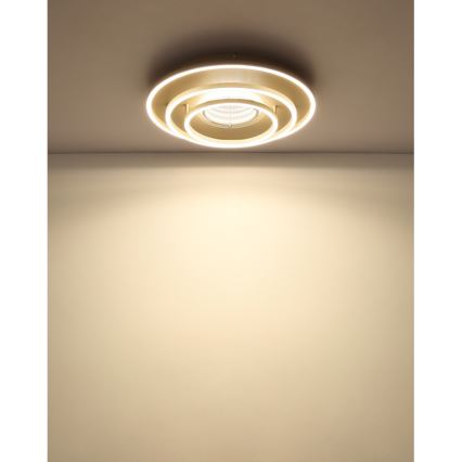 Globo - LED stropné svietidlo LED/40W/230V 3000/4000/6000K pr. 51 cm béžová