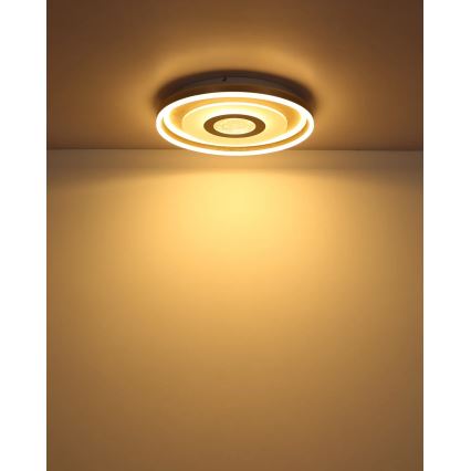 Globo - LED stropné svietidlo LED/40W/230V 3000K pr. 50 cm