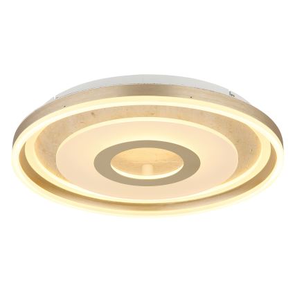 Globo - LED stropné svietidlo LED/40W/230V 3000K pr. 50 cm