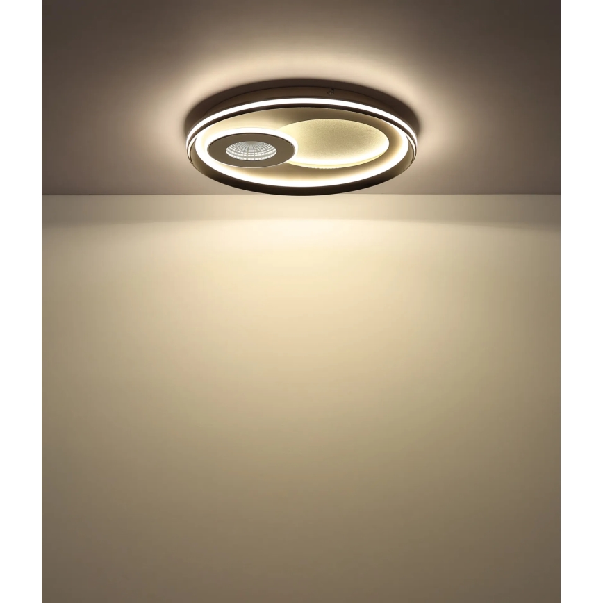 Globo - LED stropné svietidlo LED/36W/230V 3000/4500/6500K priemer 50 cm