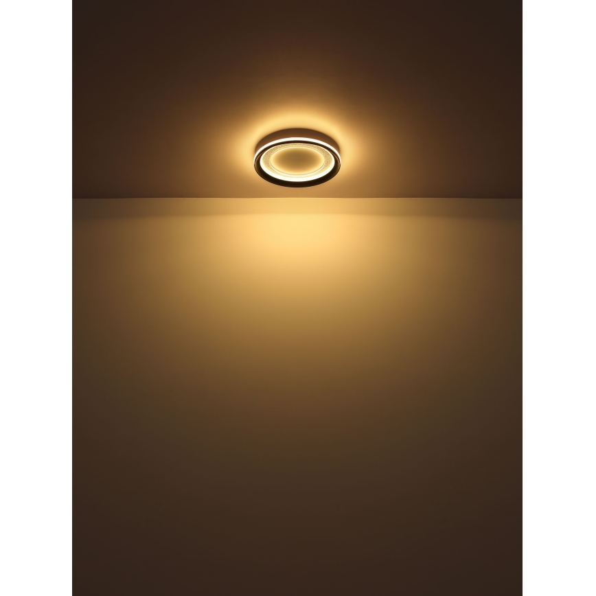 Globo - LED Stmievateľné stropné svietidlo LED/24W/230V 2700-6000K + diaľkové ovládanie