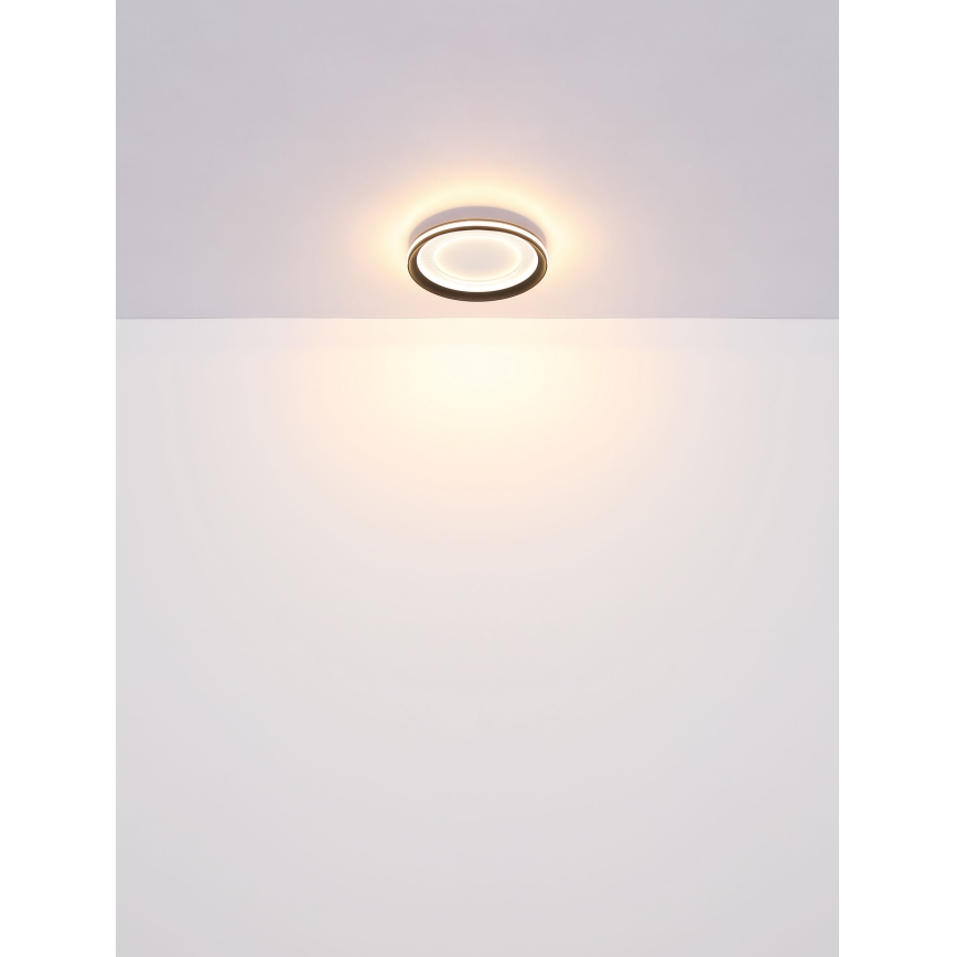 Globo - LED Stmievateľné stropné svietidlo LED/24W/230V 2700-6000K + diaľkové ovládanie
