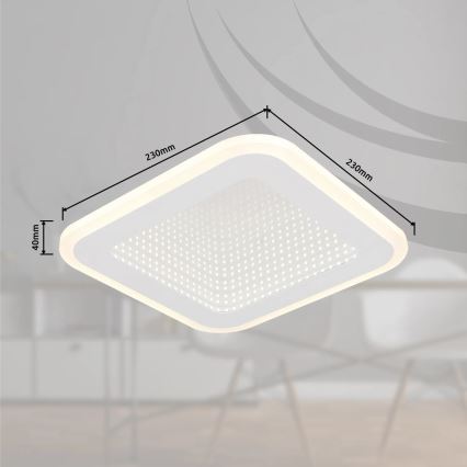 Globo - LED Stropné svietidlo LED/12W/230V 4000K