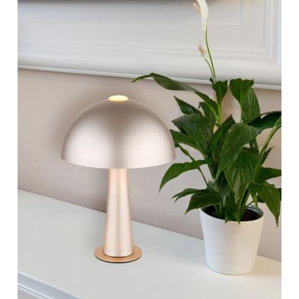 Globo - Stolná lampa 1xE14/25W/230V krémová