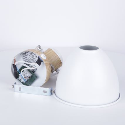 Globo - Nástenné bodové svietidlo 1xE27/40W/230V