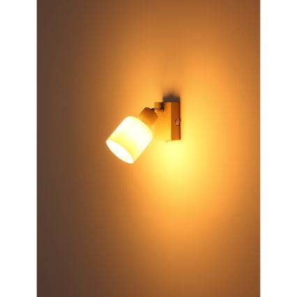 Globo - Nástenné bodové svietidlo 1xE14/25W/230V