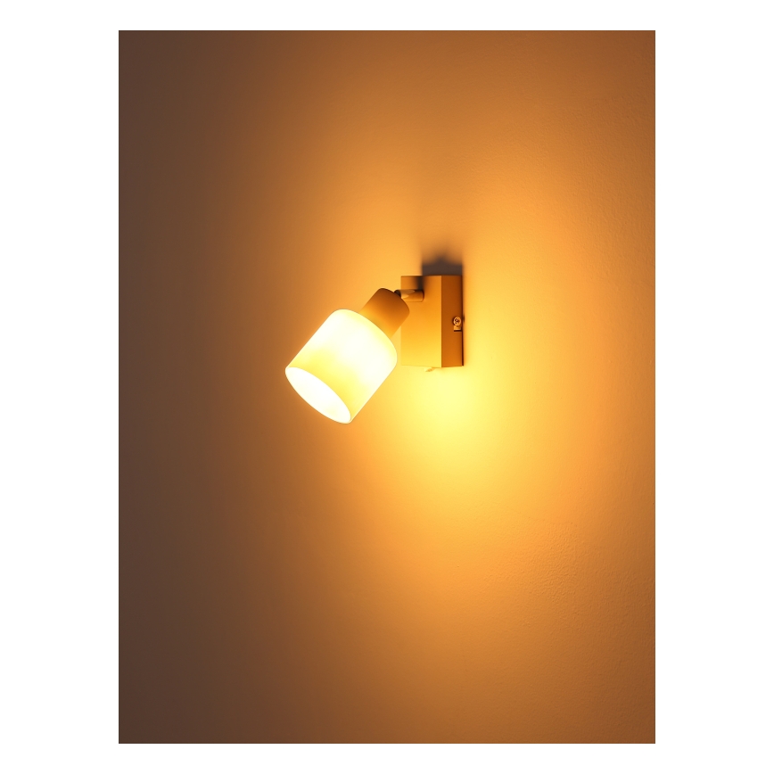 Globo - Nástenné bodové svietidlo 1xE14/25W/230V