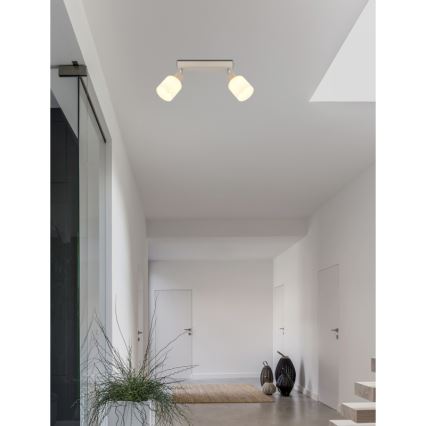 Globo - Bodové svietidlo 2xE14/25W/230V