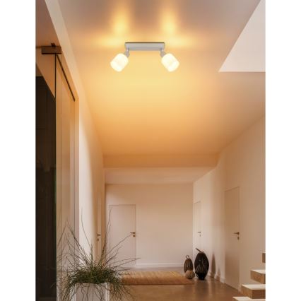 Globo - Bodové svietidlo 2xE14/25W/230V