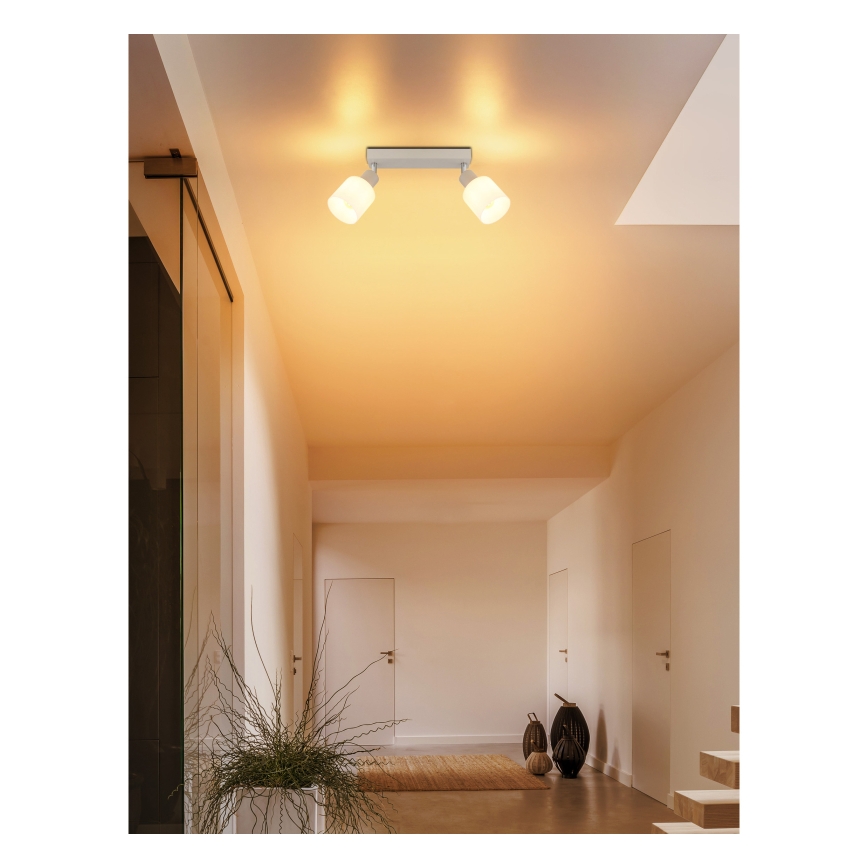 Globo - Bodové svietidlo 2xE14/25W/230V