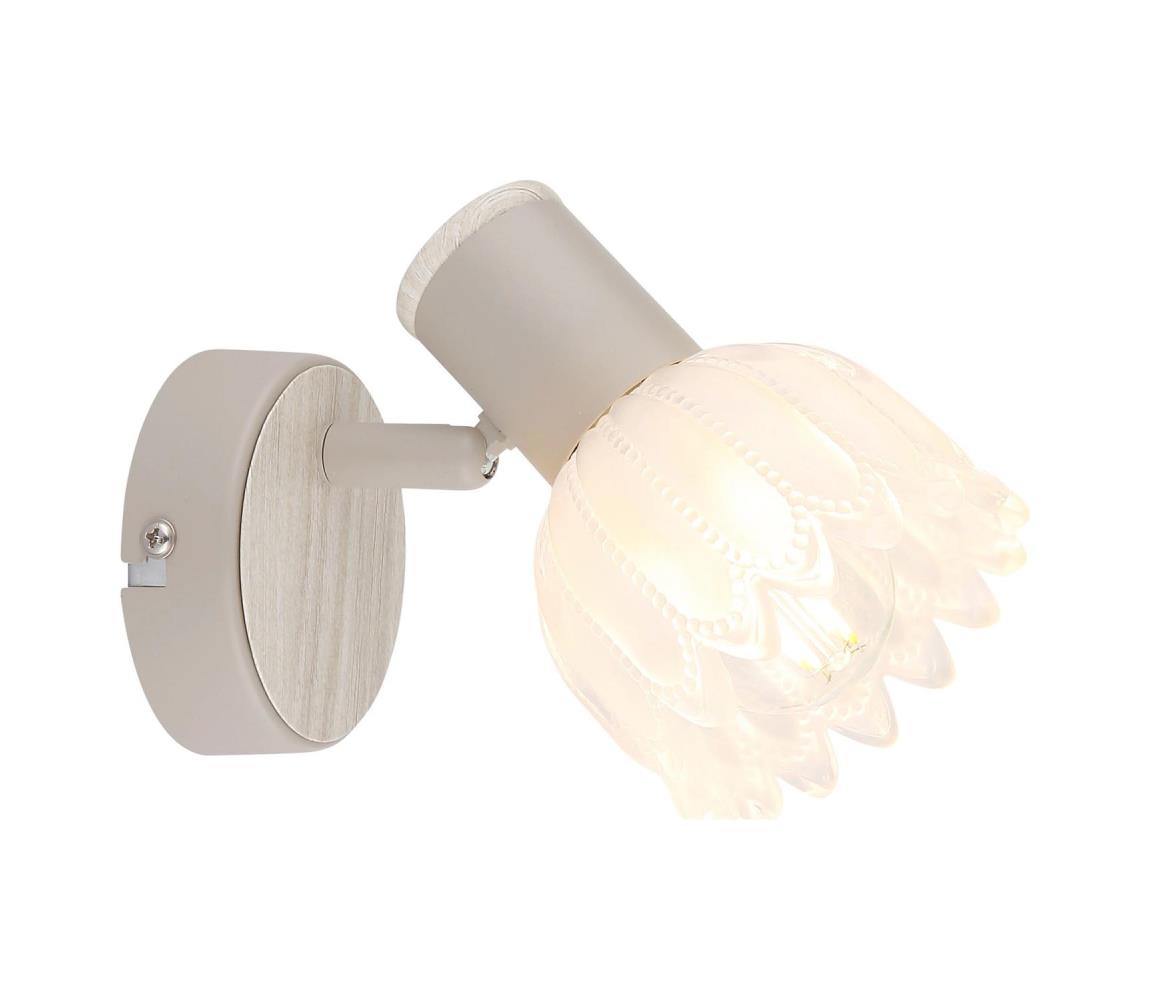 Globo 54317-1 - Nástenné bodové svietidlo PLANTA 1xE14/40W/230V 54317-1