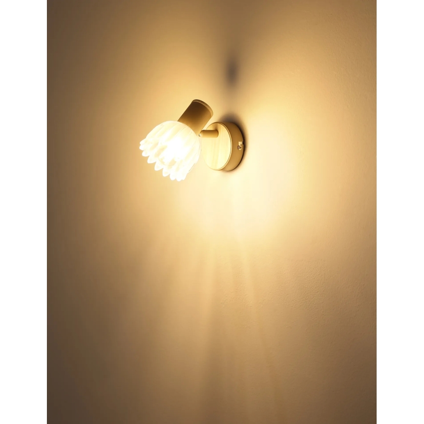 Globo - Nástenné bodové svietidlo 1xE14/40W/230V