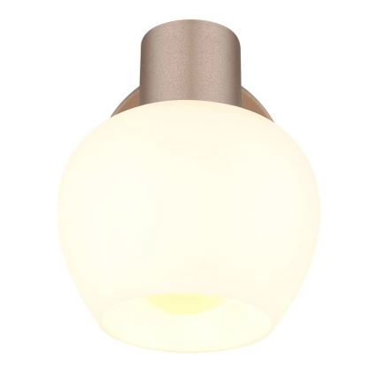 Globo - Nástenné bodové svietidlo 1xE27/40W/230V